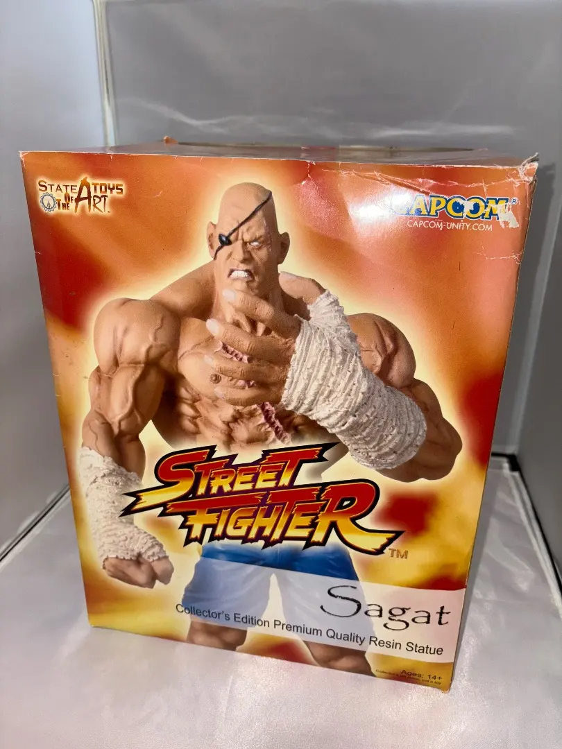 2026年最新】sota ストリートファイターの人気アイテム - メルカリ