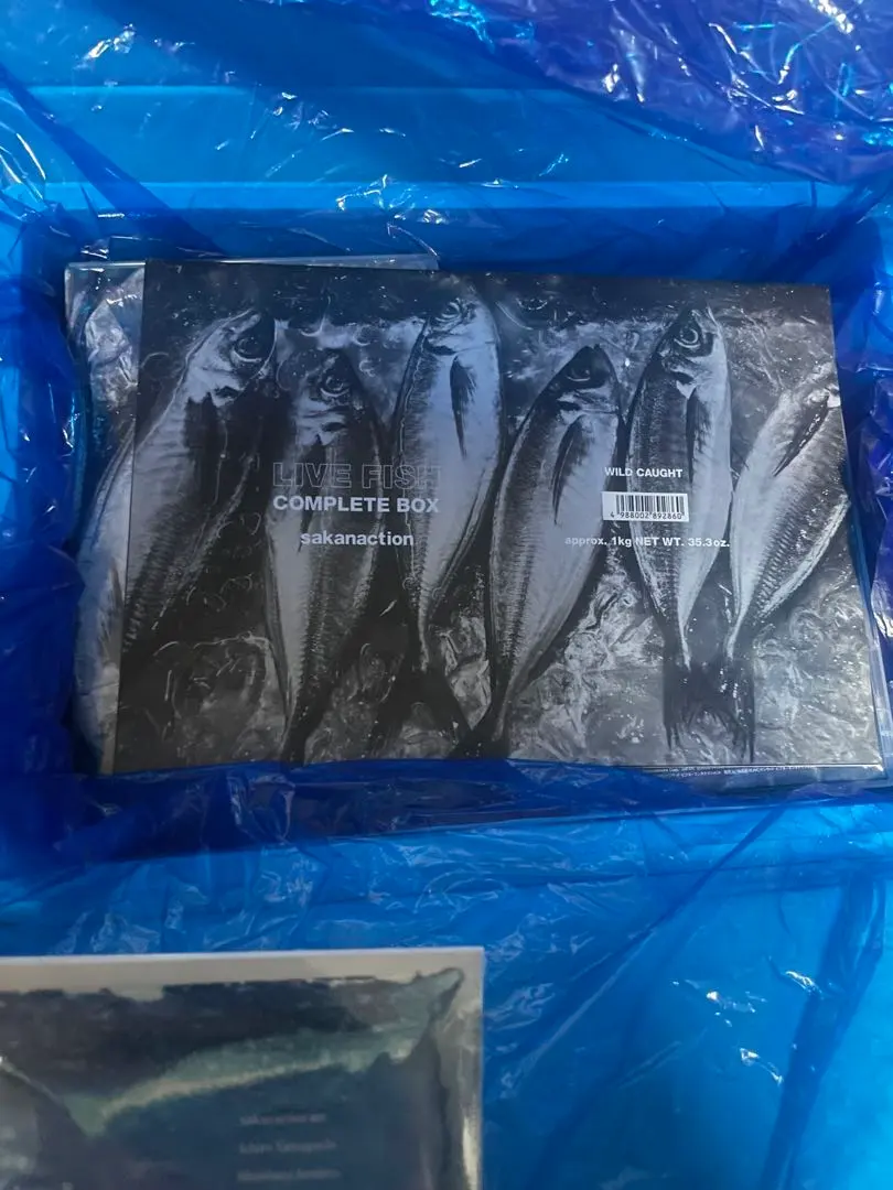 2026年最新】サカナクション live fishの人気アイテム - メルカリ