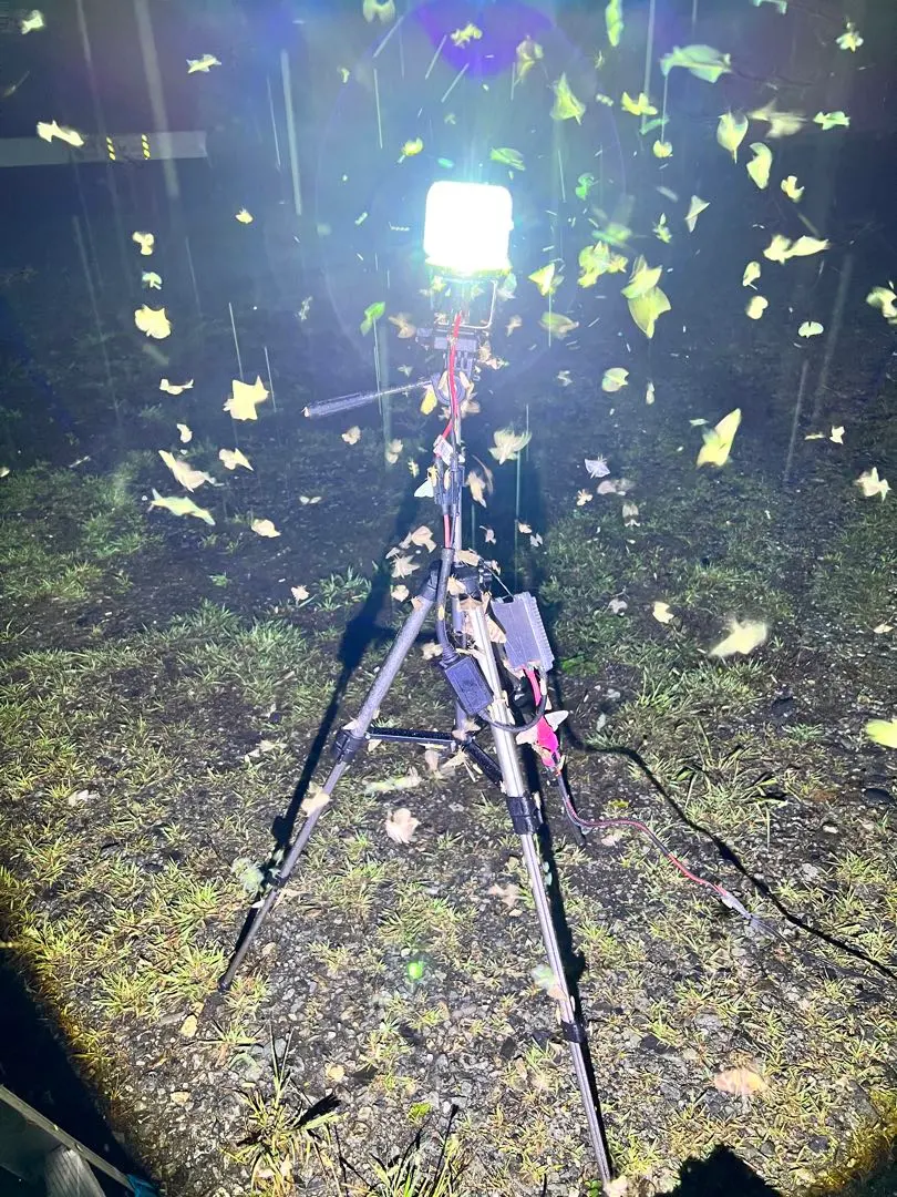 2026年最新】HIDライトトラップの人気アイテム - メルカリ