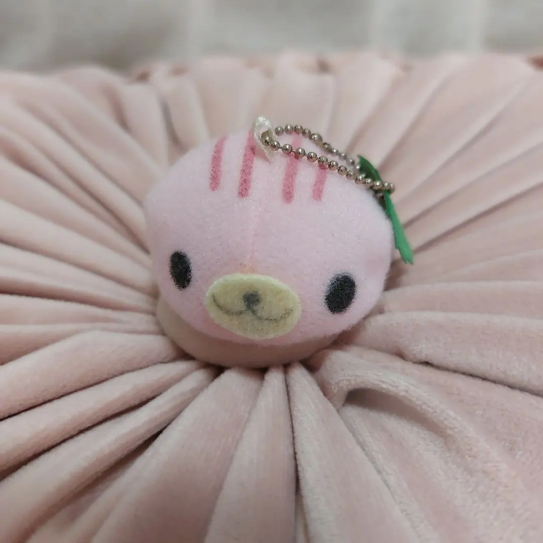 2026年最新】まめゴマ 十六茶の人気アイテム - メルカリ