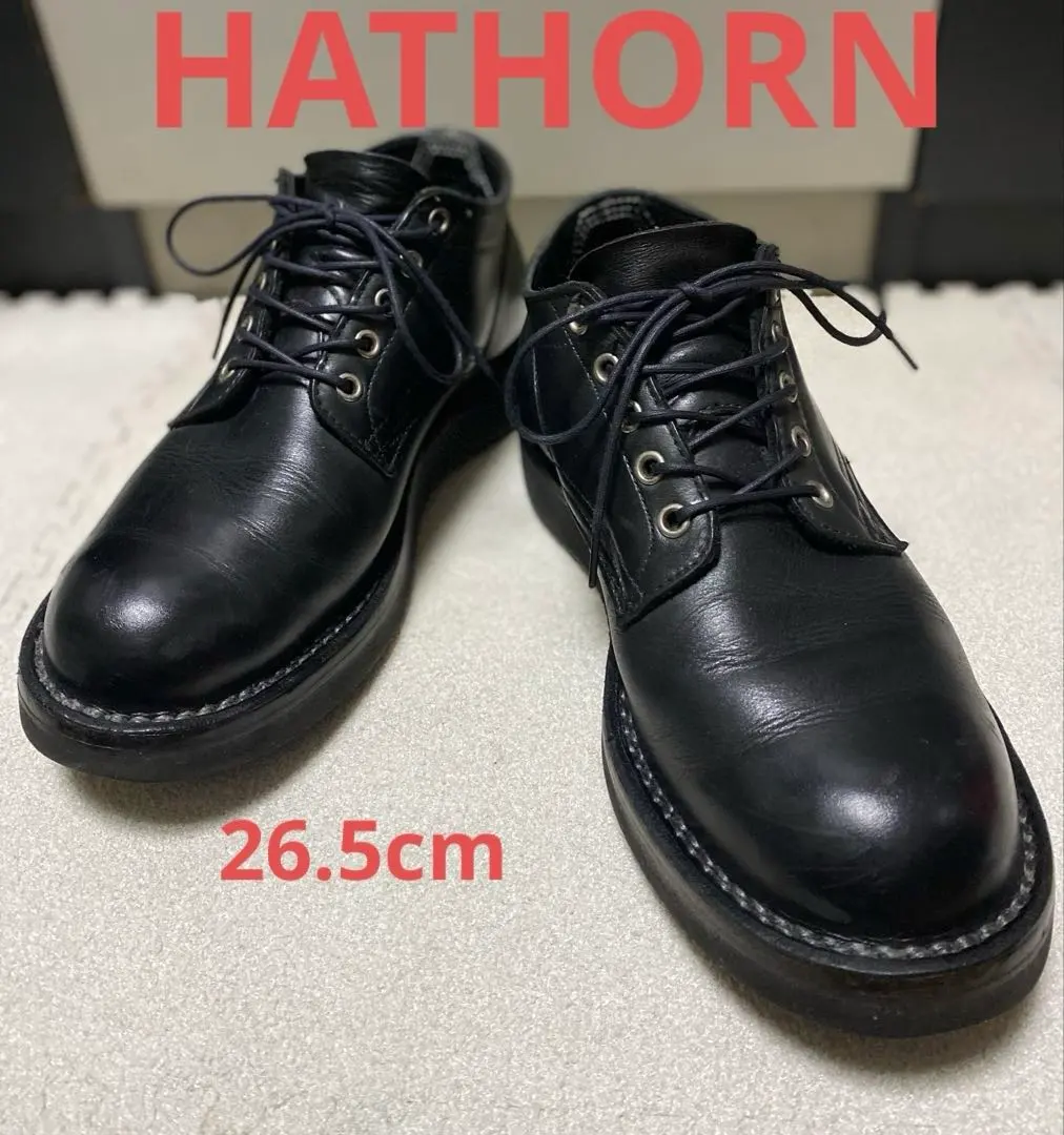 2026年最新】ハソーン ネペンテスの人気アイテム - メルカリ