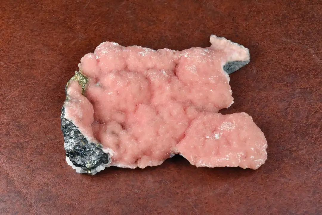 m54918401187_1.jpg?1764410496