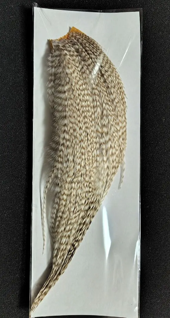 2026年最新】ハック グリズリーの人気アイテム - メルカリ