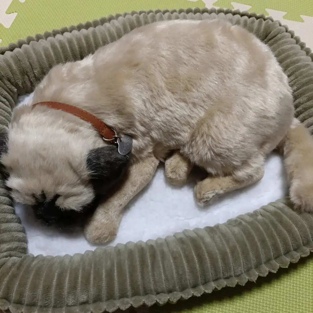 2026年最新】パーフェクトペットの人気アイテム - メルカリ