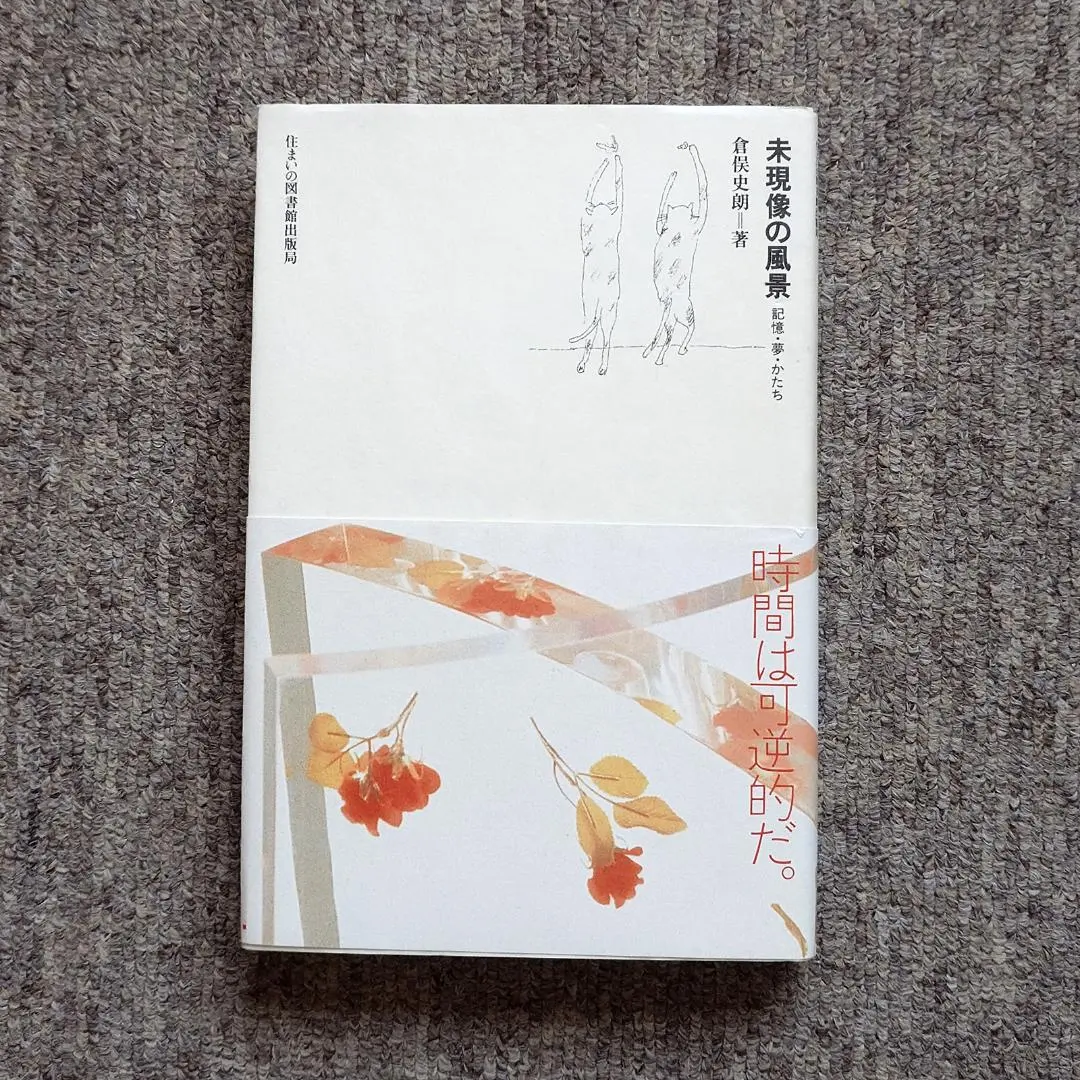 m58829060488_1.jpg?1768025334