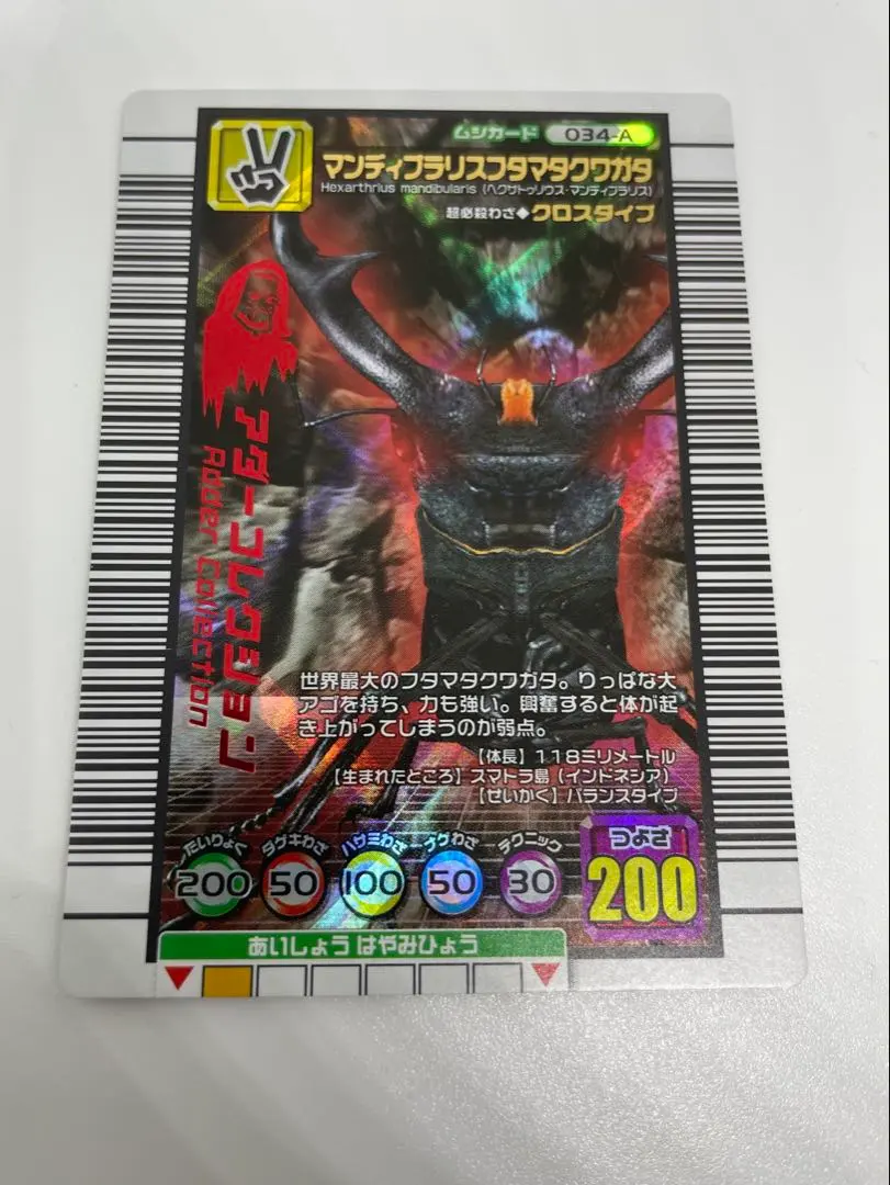 2026年最新】ムシキング マンディブラリスフタマタクワガタ アダーの