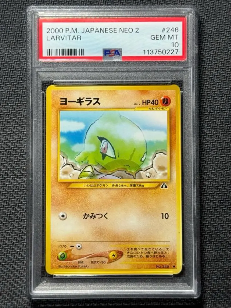 2026年最新】ヨーギラス psa10の人気アイテム - メルカリ