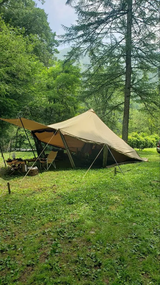 2026年最新】ゼインアーツ ウータlの人気アイテム - メルカリ