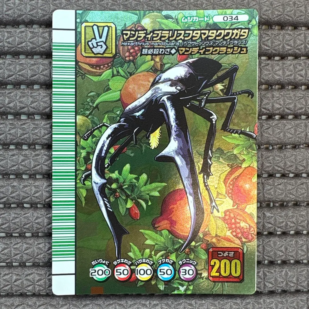 m40602656843_1.jpg?1764333603