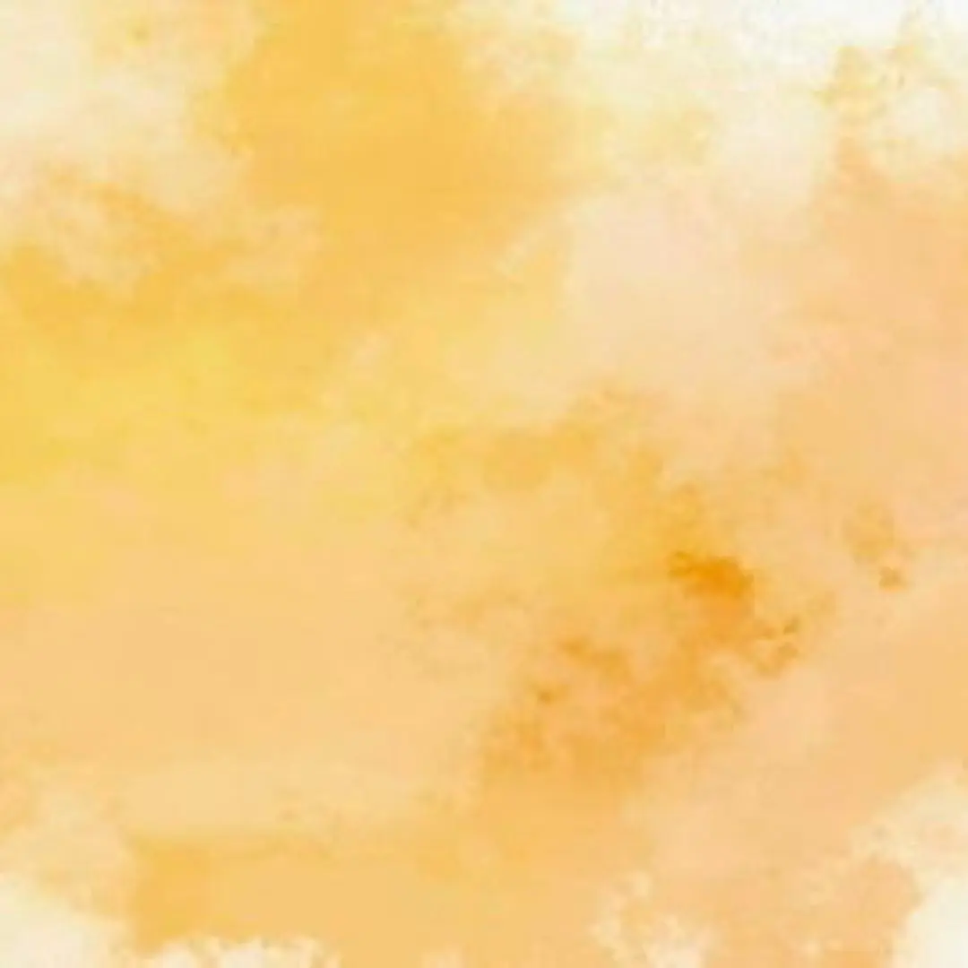 2026年最新】めいちゃん屋さんの人気アイテム - メルカリ