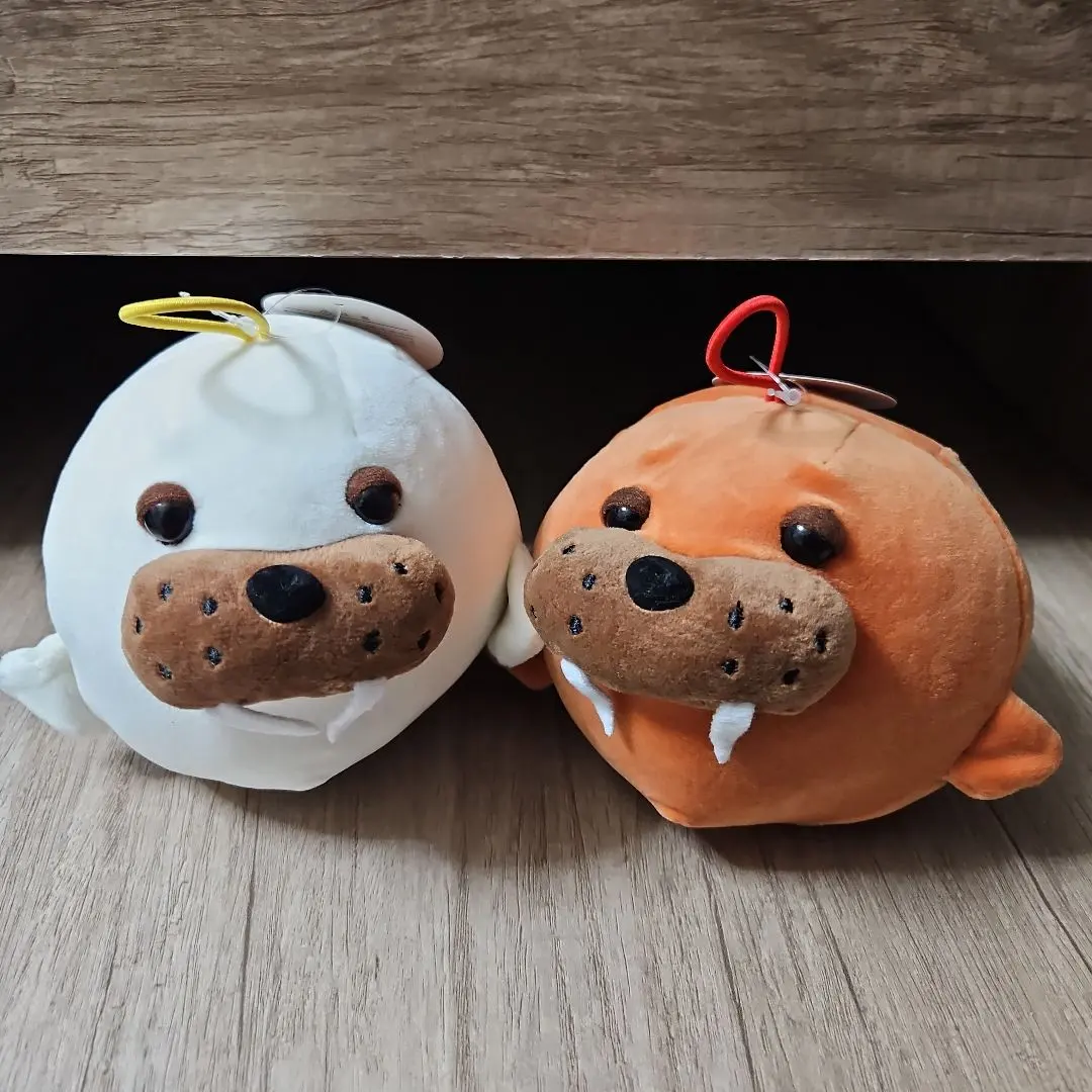 2026年最新】セイウチ牙の人気アイテム - メルカリ