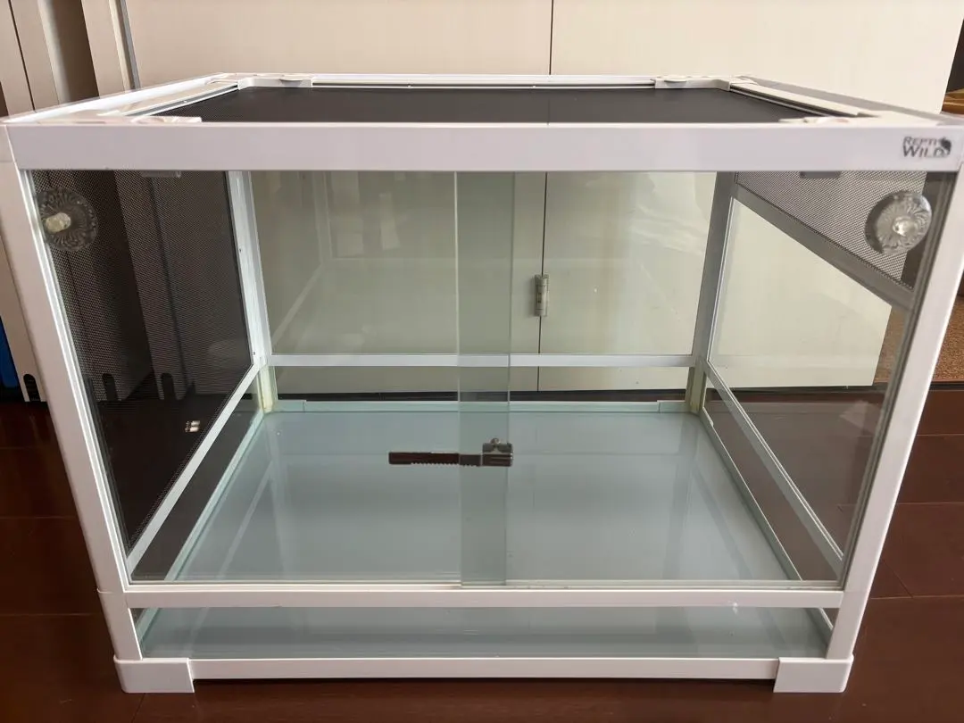 2026年最新】パンテオン6045の人気アイテム - メルカリ