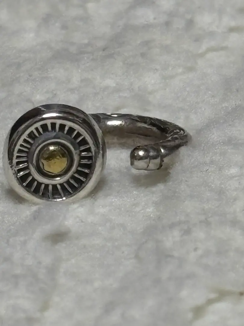 2026年最新】ピアス あるじゃんの人気アイテム - メルカリ