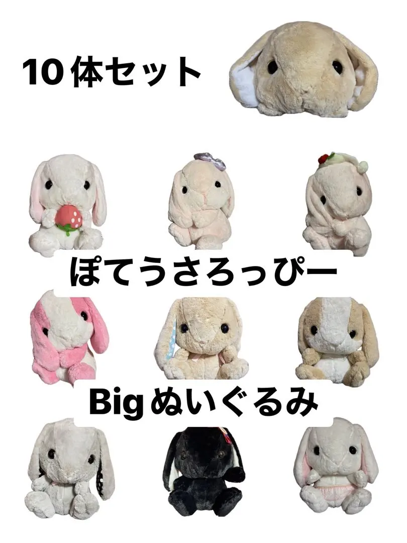 2026年最新】みみぴょん ろっぴーの人気アイテム - メルカリ