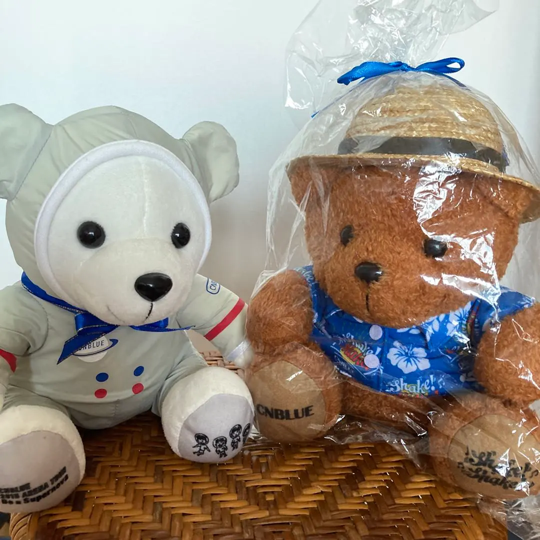 2026年最新】CNBLUE ヨンファ ぬいぐるみの人気アイテム - メルカリ