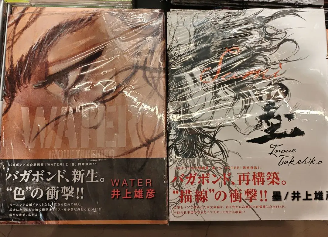 2026年最新】バガボンド 画集 waterの人気アイテム - メルカリ