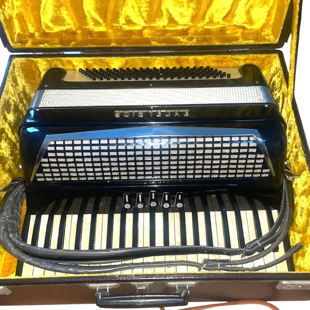 2026年最新】excelsior 400 アコーディオンの人気アイテム - メルカリ