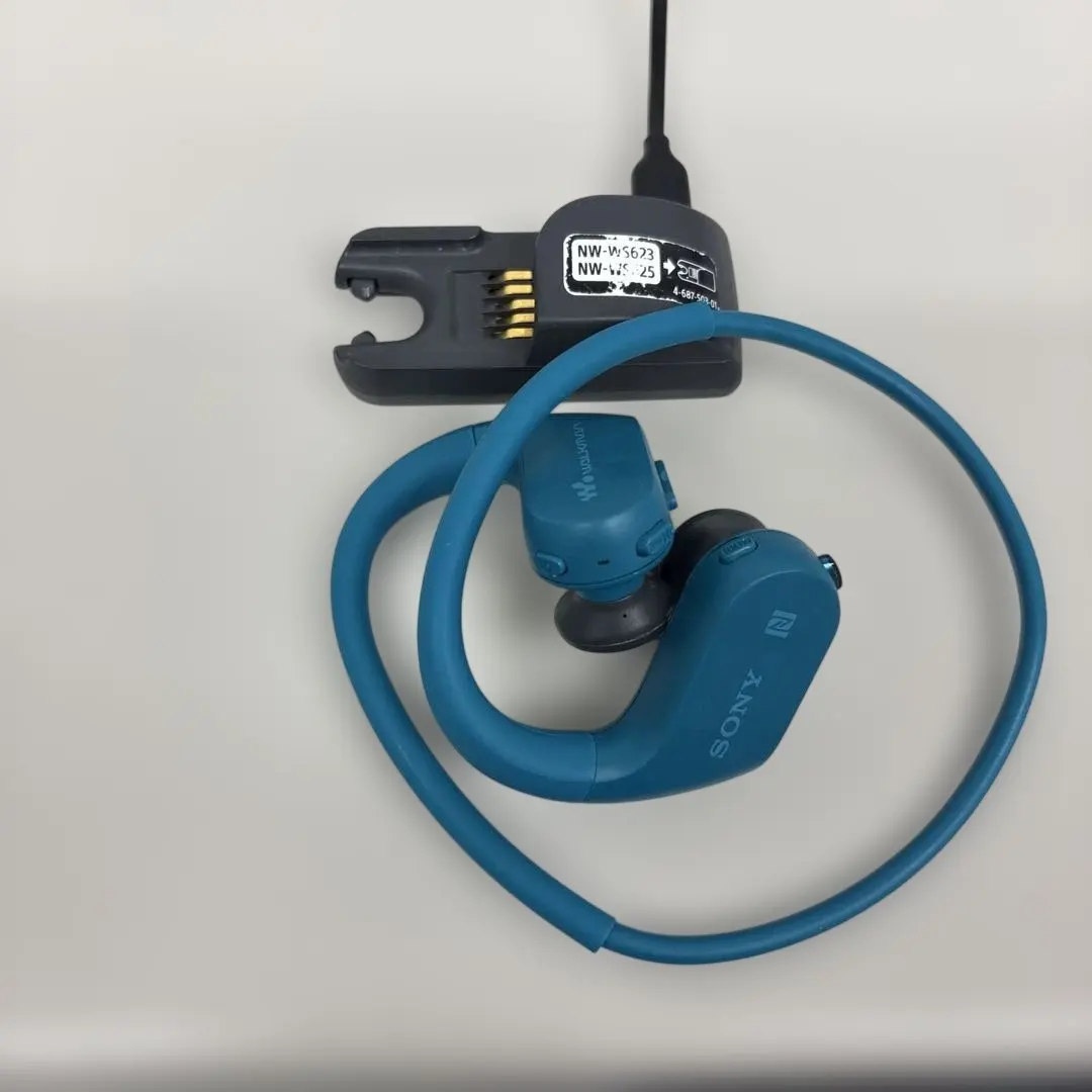 2026年最新】NW-WS623の人気アイテム - メルカリ