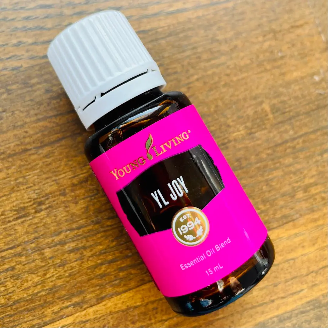 2026年最新】ワイエルジョイの人気アイテム - メルカリ