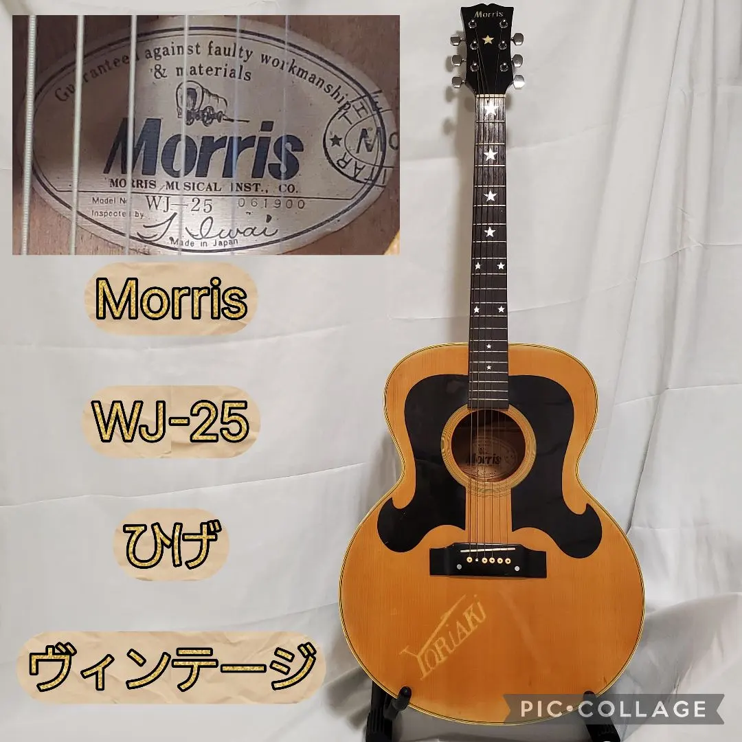 2026年最新】MORRIS F 25の人気アイテム - メルカリ