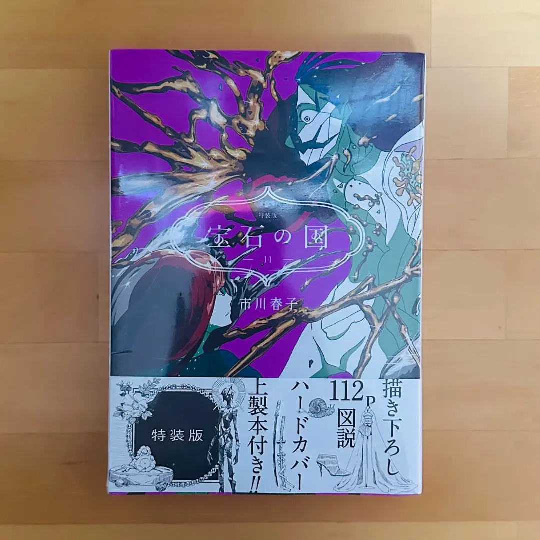 2026年最新】宝石の国 特装版 10の人気アイテム - メルカリ