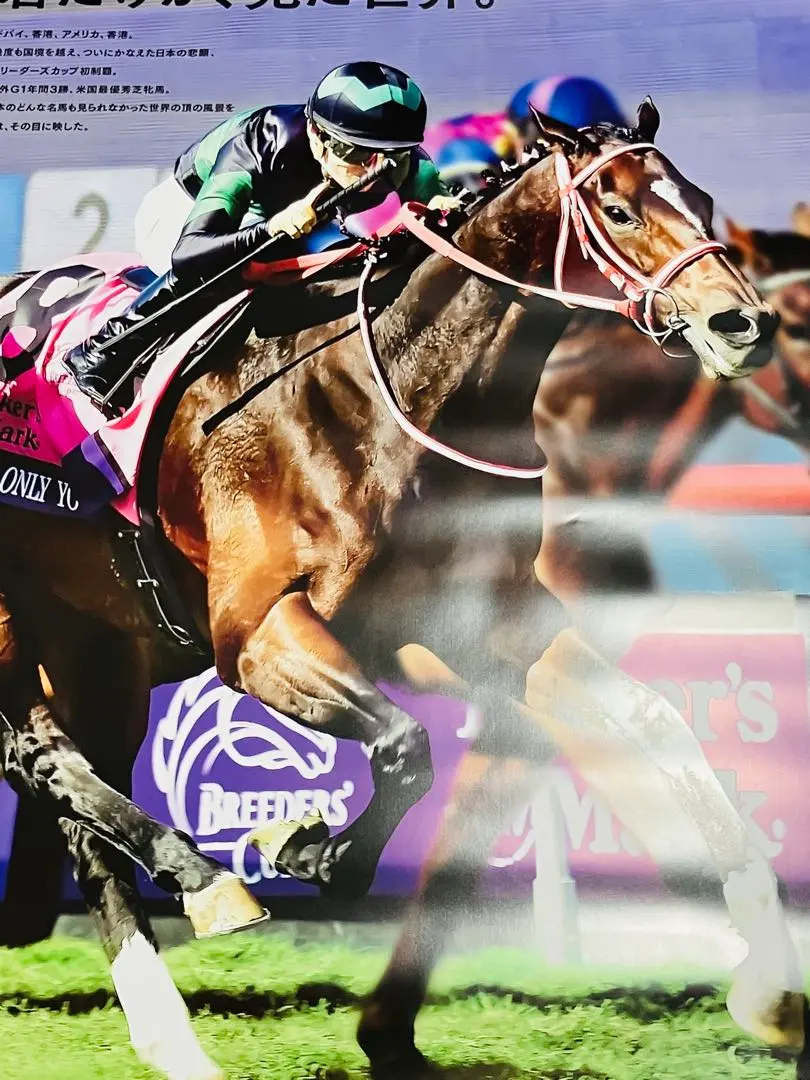 2026年最新】ヒーロー列伝 B1の人気アイテム - メルカリ