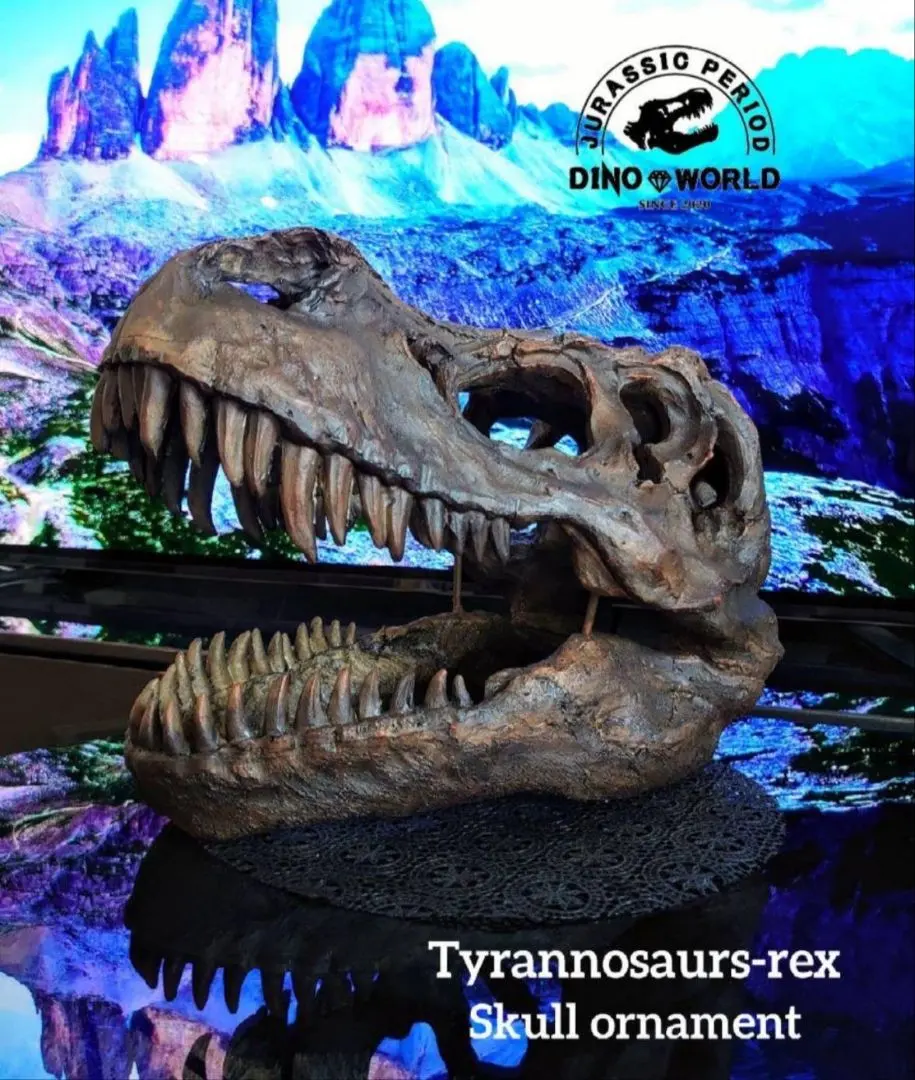 2026年最新】恐竜 化石 レプリカの人気アイテム - メルカリ