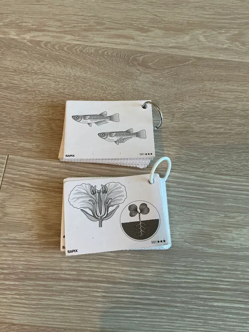 2026年最新】サピックス カード 動物 植物の人気アイテム - メルカリ