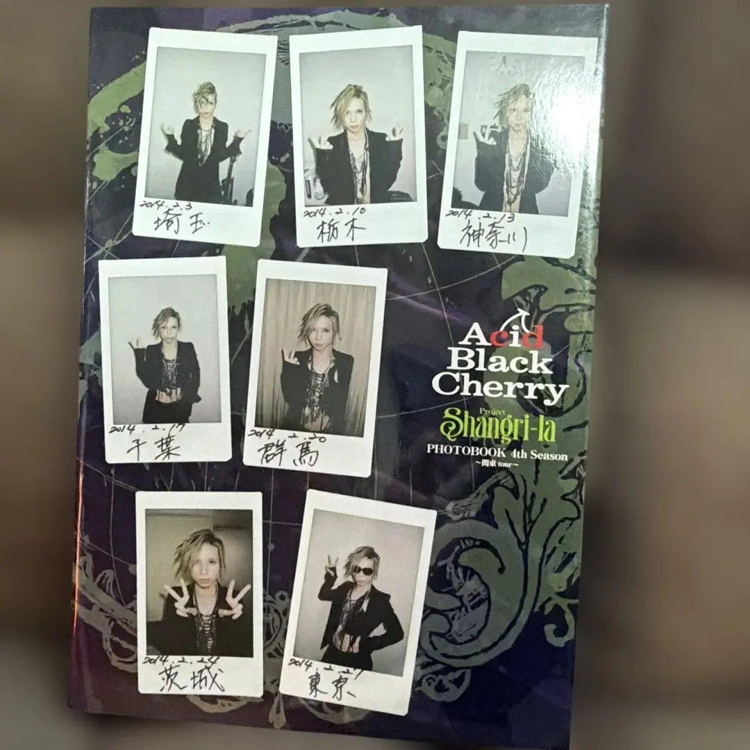 2026年最新】Acid Black Cherry写真集の人気アイテム - メルカリ