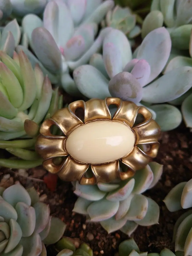 2026年最新】アキオモリ ブローチの人気アイテム - メルカリ