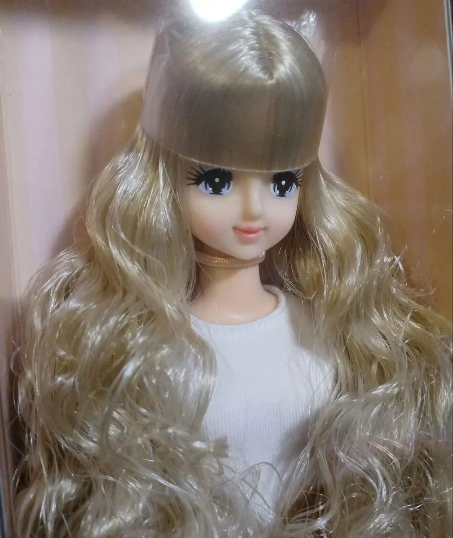 m73917323924_1.jpg?1761817494