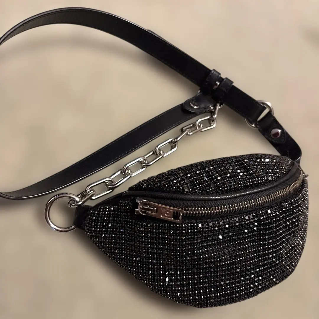2026年最新】ALEXANDER wang バッグ ラインストーンの人気アイテム