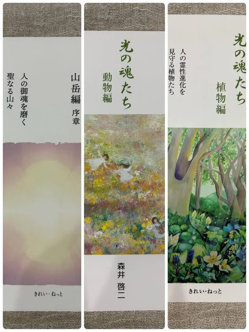 2026年最新】光の魂たち_山岳編の人気アイテム - メルカリ