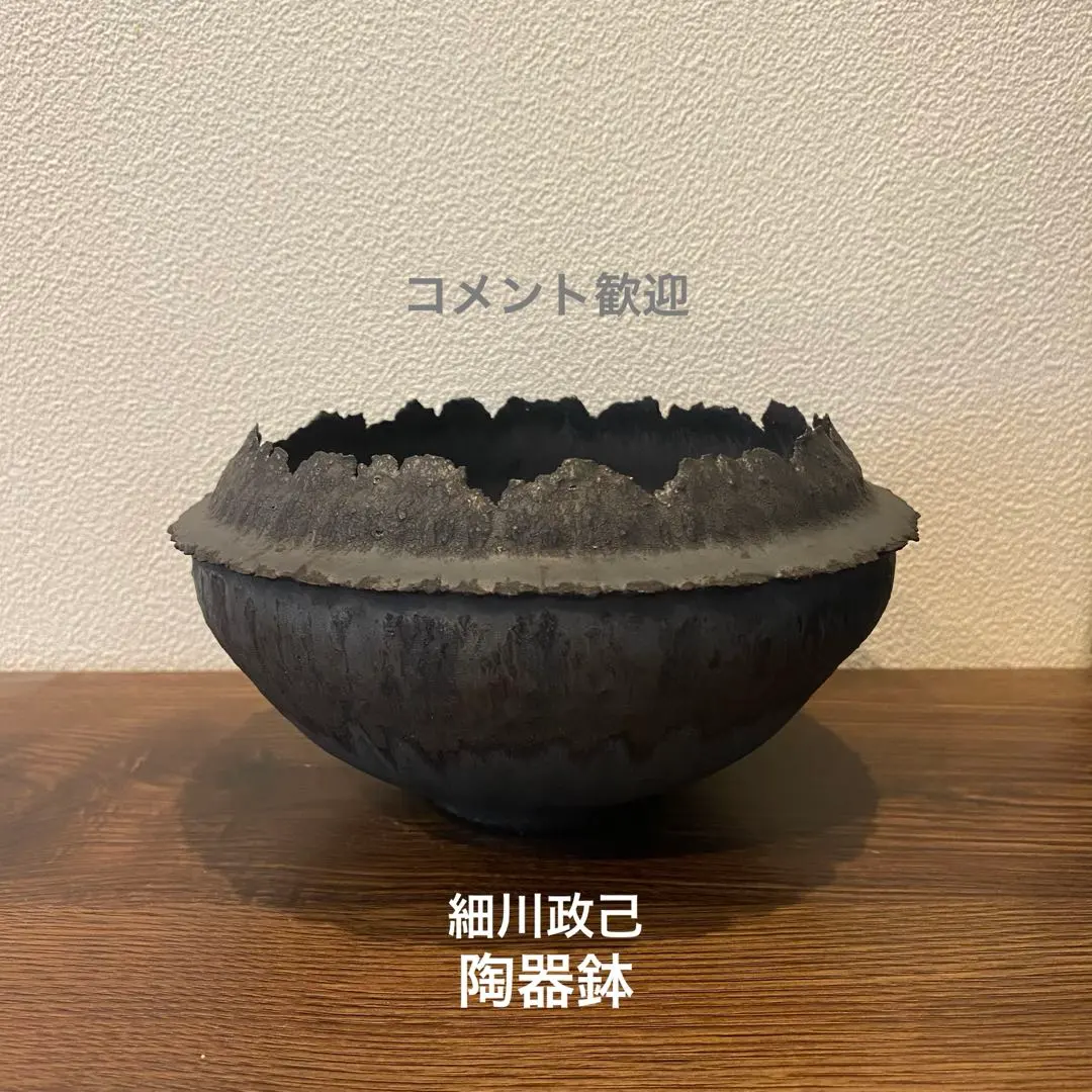 2026年最新】細川政己の人気アイテム - メルカリ