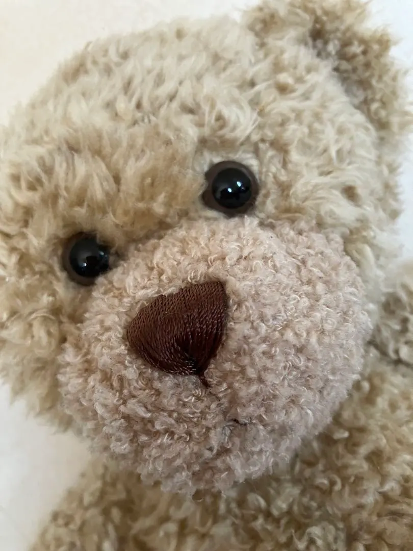 2026年最新】ビルドアベア テディベアの人気アイテム - メルカリ