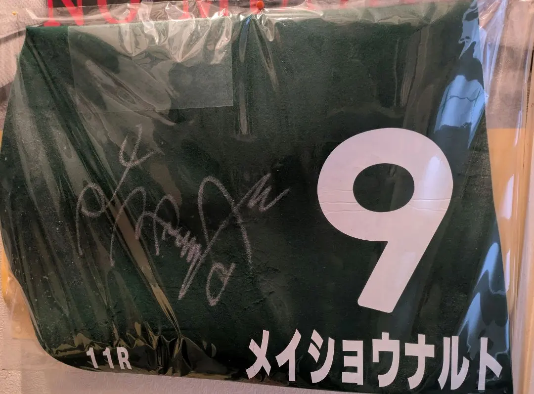 2026年最新】柴田善臣 サインの人気アイテム - メルカリ