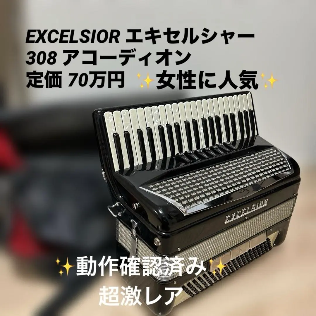 2026年最新】excelsior 308の人気アイテム - メルカリ