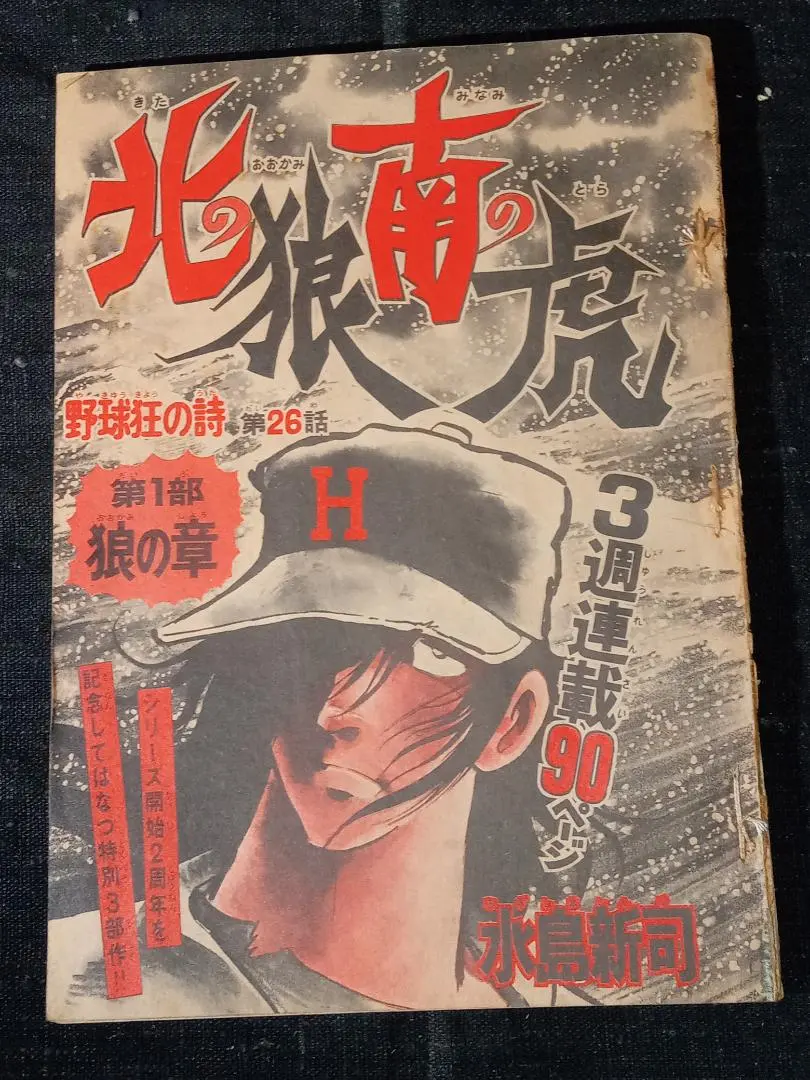 2026年最新】北の狼南の虎の人気アイテム - メルカリ