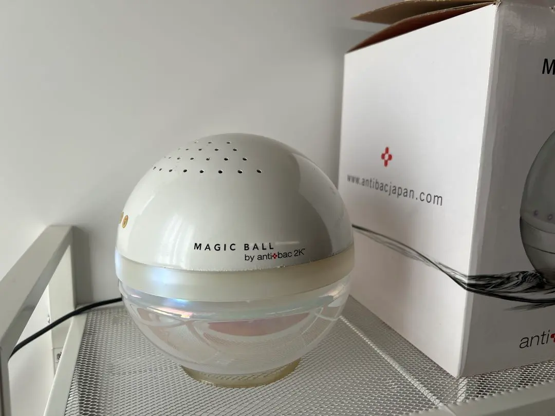 2026年最新】anti back 2kの人気アイテム - メルカリ