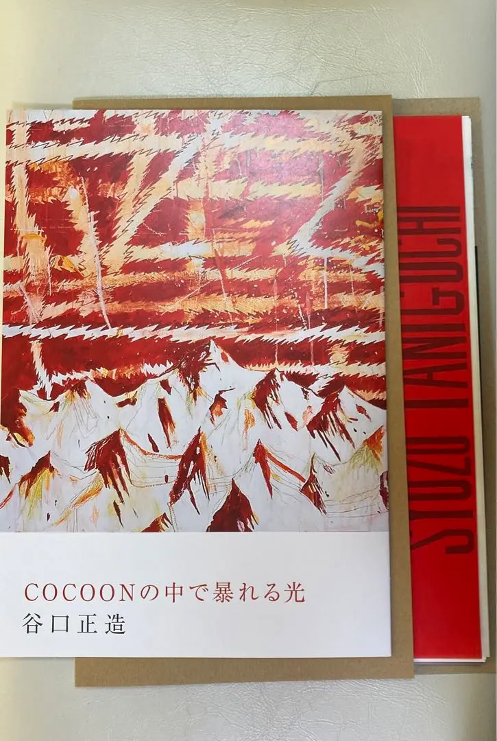 2026年最新】谷口正造の人気アイテム - メルカリ