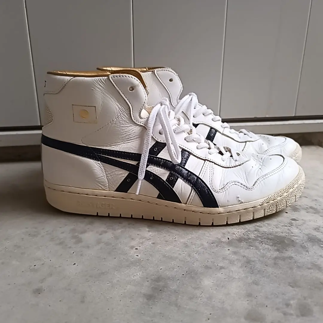 2026年最新】アシックスタイガー ファブレジャパンLの人気アイテム