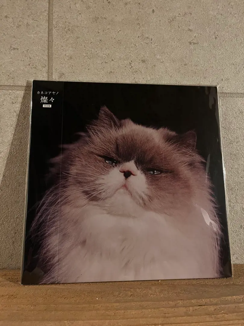 2026年最新】カネコアヤノ 野音 レコードの人気アイテム - メルカリ