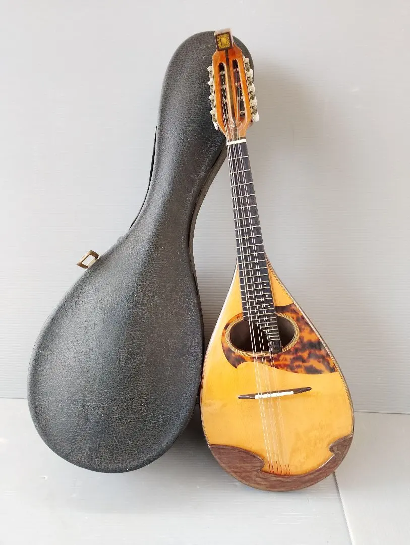 2026年最新】マンドリン 野口の人気アイテム - メルカリ