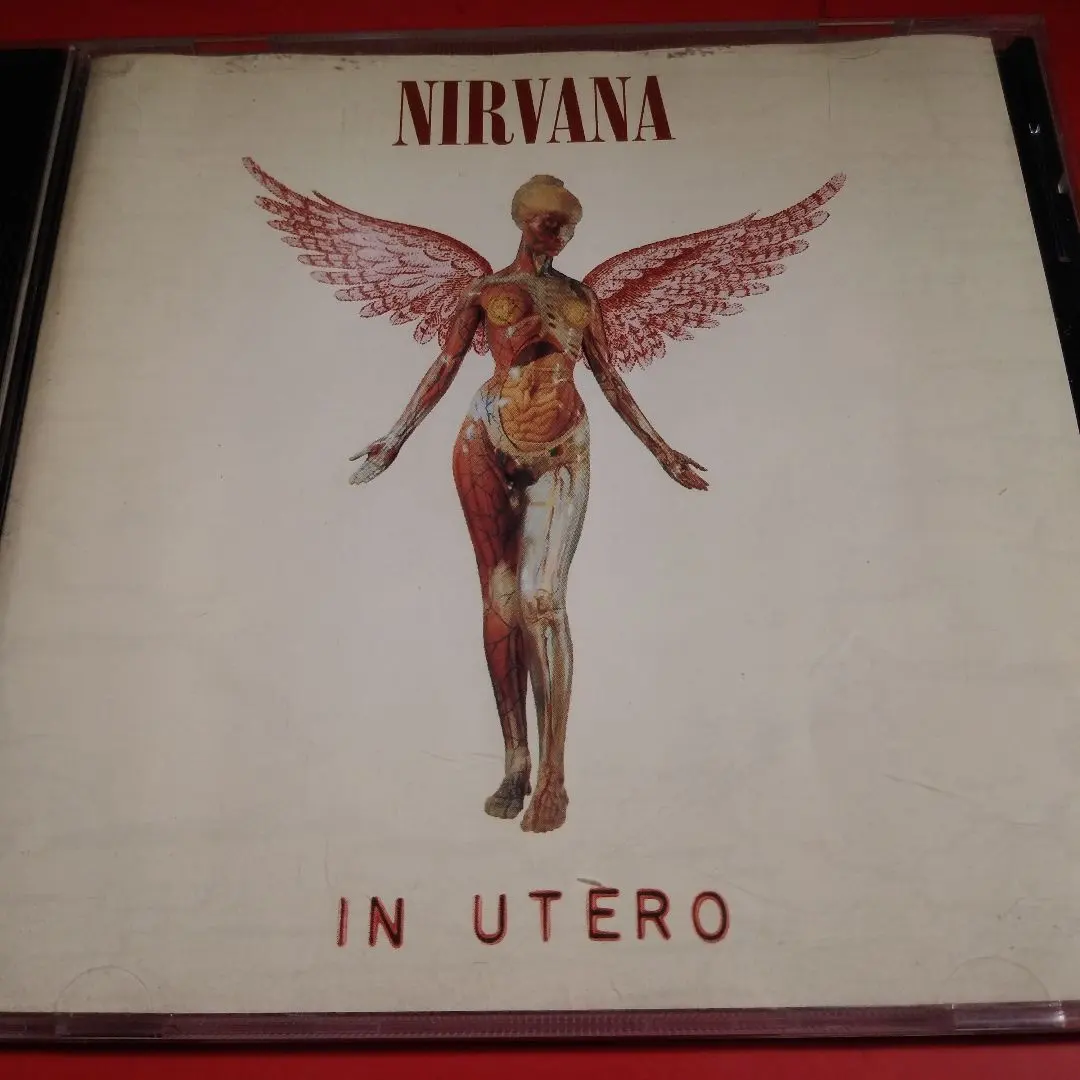 2026年最新】nirvana in utero レコードの人気アイテム - メルカリ