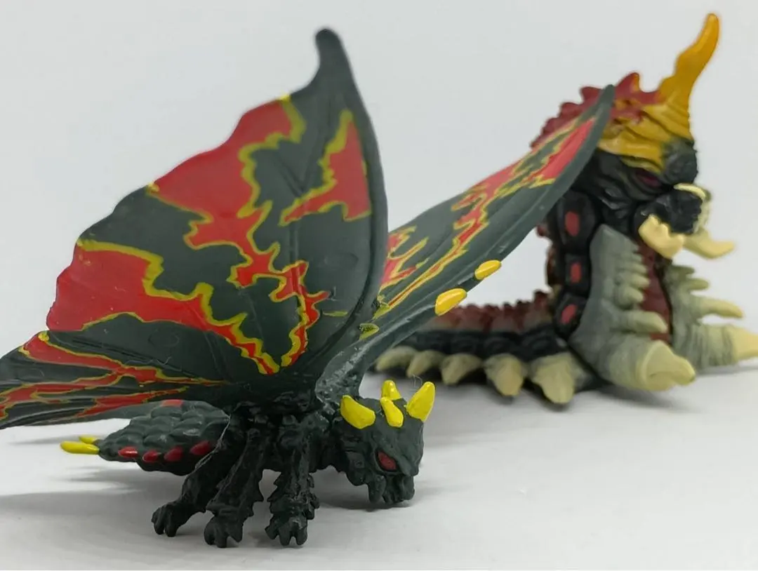 2026年最新】バトラ成虫の人気アイテム - メルカリ