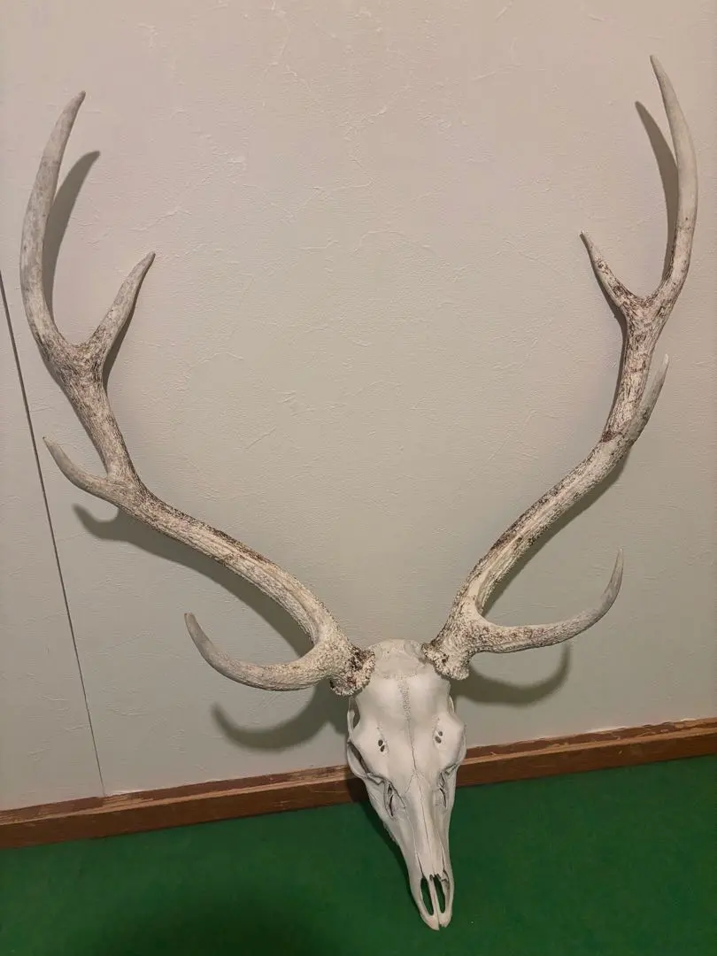 2026年最新】鹿 角 トロフィーの人気アイテム - メルカリ