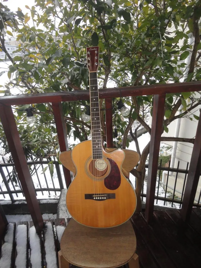 2026年最新】lumber エレアコの人気アイテム - メルカリ