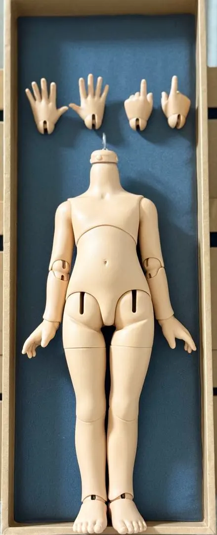 2026年最新】パオラレイナ可動ボディの人気アイテム - メルカリ