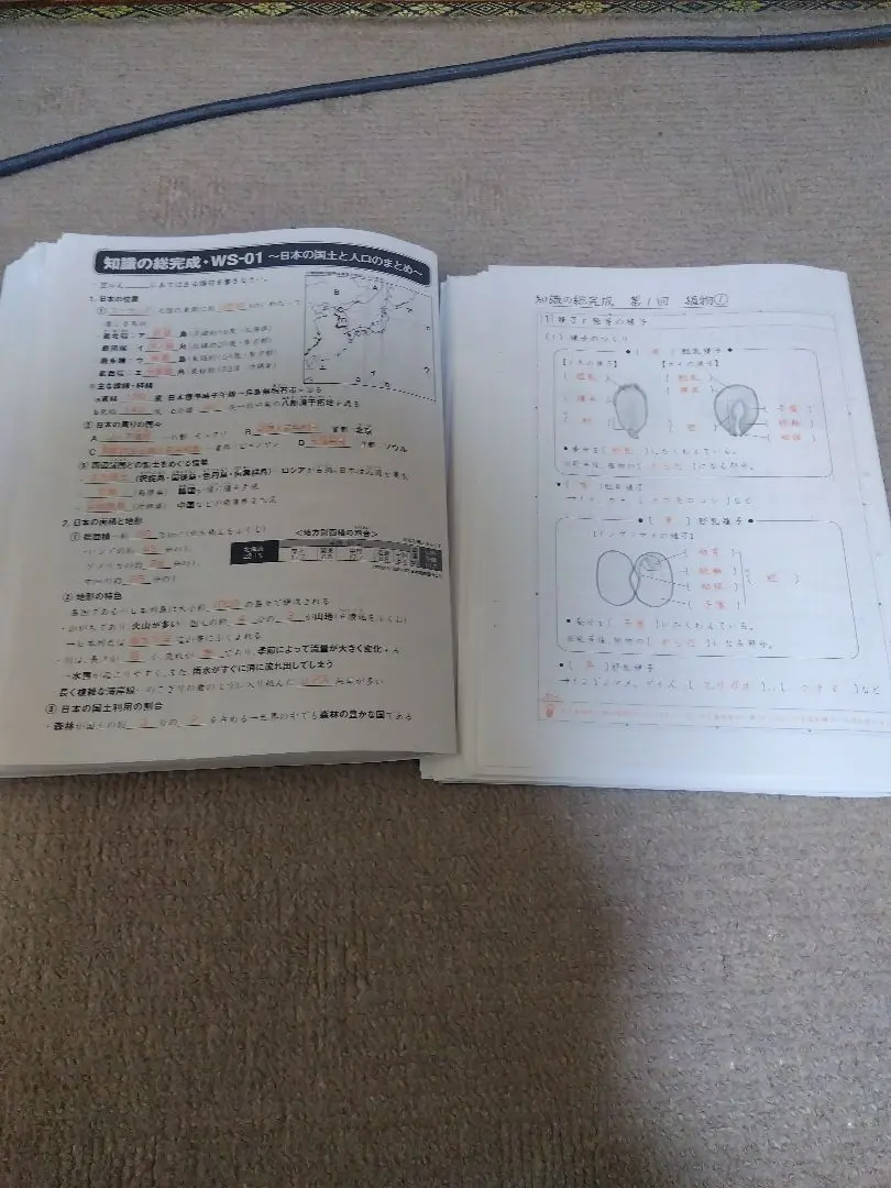 2026年最新】サピックス 社会 知識の総完成の人気アイテム - メルカリ