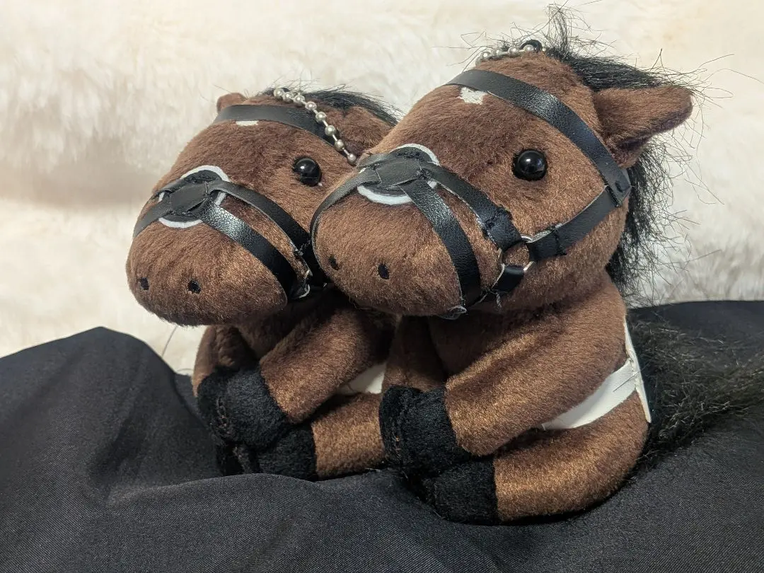 2026年最新】美浦トレセンの人気アイテム - メルカリ